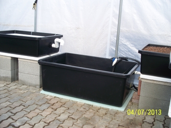 Two Grow Tub System with Medium Fish Tub | Home Systems