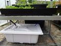 Flood & Drain Seedling-Propagation Tray and Reservoir | Home Systems